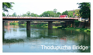 Thodupuzha Bridge 