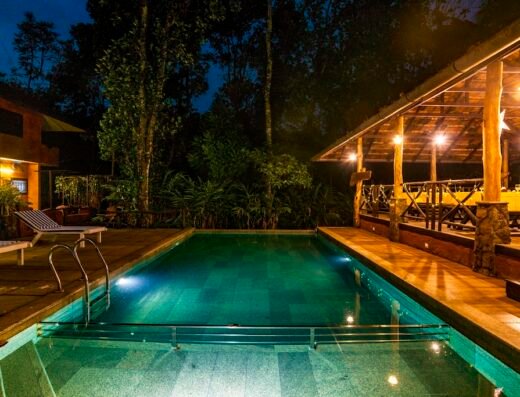 BEYOND ECO LIVING