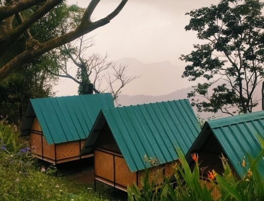 Birders den camp