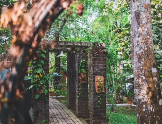 Madukkakuzhy Ayurveda – Ayurvedic Treatment Centre in Kottayam, Kerala