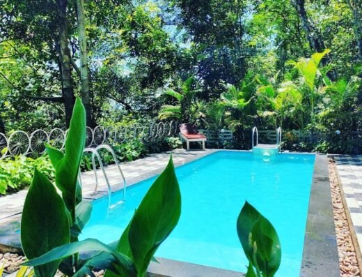 Mistywindvalley Resort