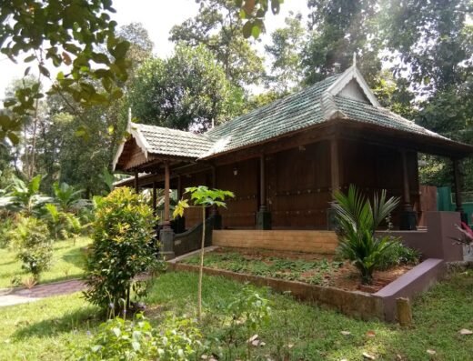 Trogon County
