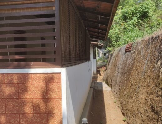 Trogon County