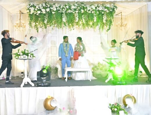 Wedwingz wedding planners