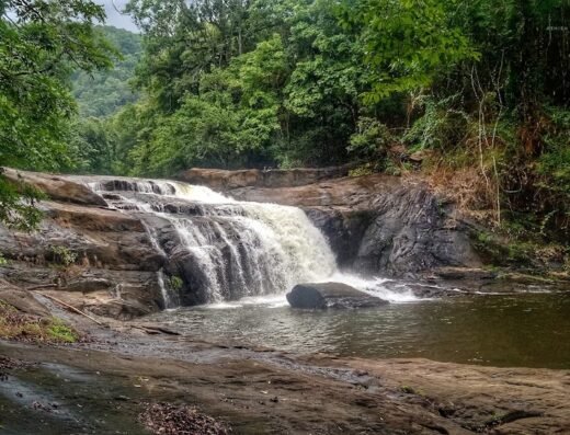 Wild Water Resort