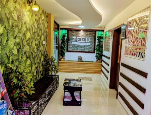 Zeed Academy