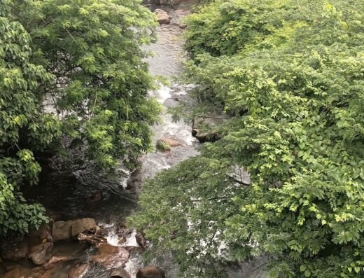Aruvikuthu Waterfalls