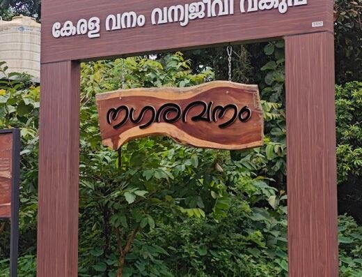 Edavetty Forest | Nagaravanam Thodupuzha