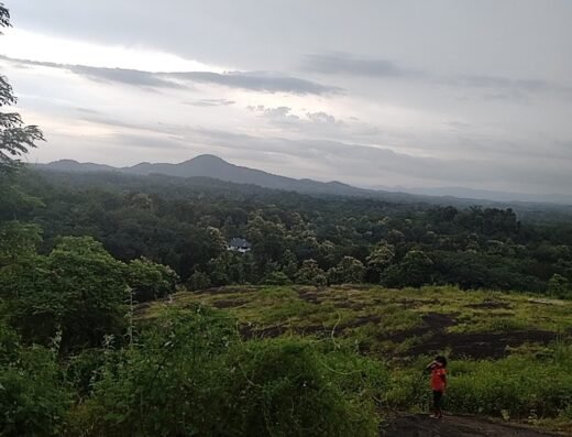 Konnaykamalappara Viewpoint