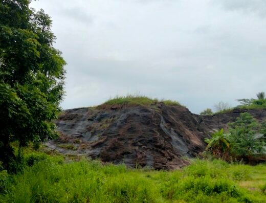 Konnaykamalappara Viewpoint