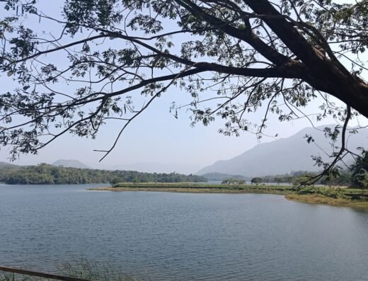 Malankara Dam