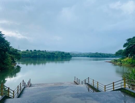 Malankara Dam