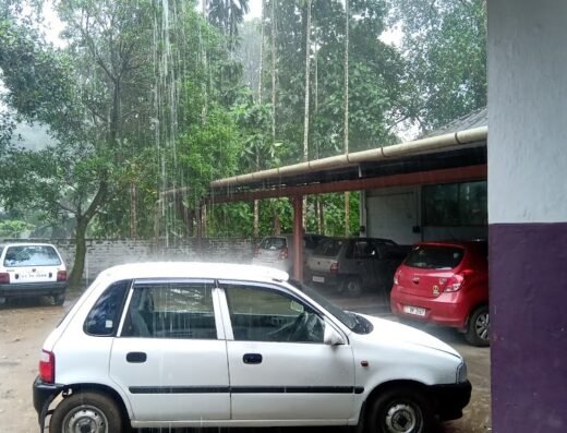 MY CAR SERVICE