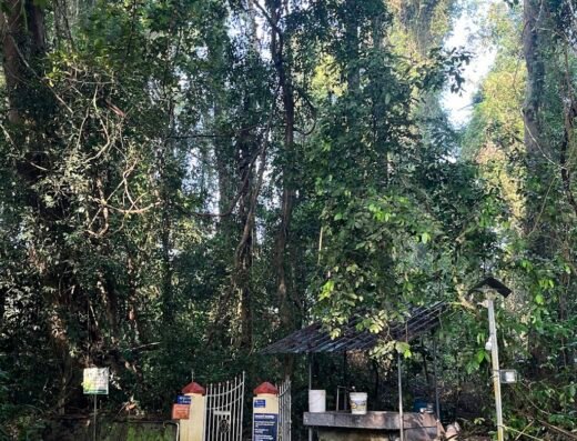 Sree Amaramkavu Devi Temple