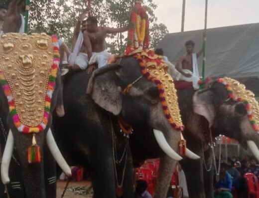 Sree Nadayilkavu Temple