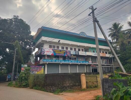Thodupuzha halliya tower