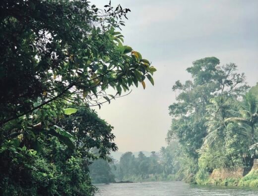 Thodupuzha River Viewpoint