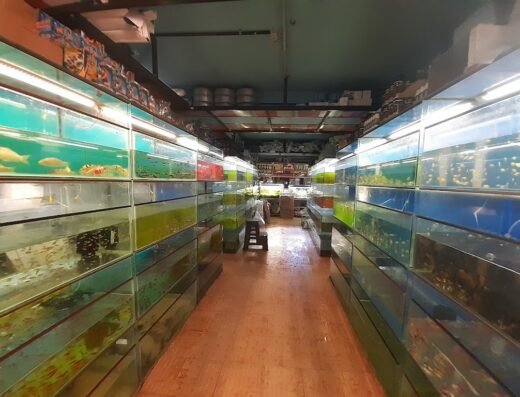 Alankar Fish Aquarium
