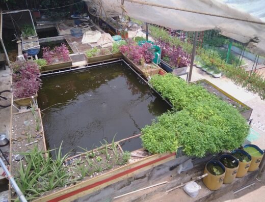 AVJ Farm