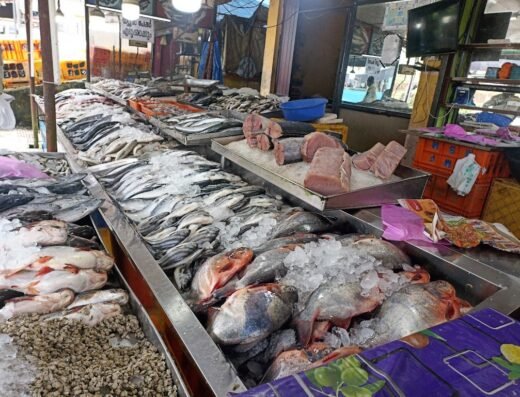 Chambakkara Fisheries & Chicken Center
