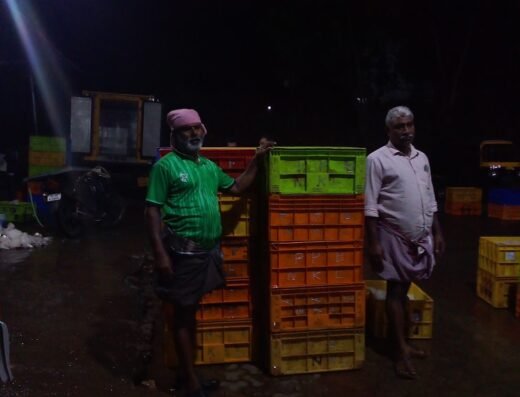 D N S fish market