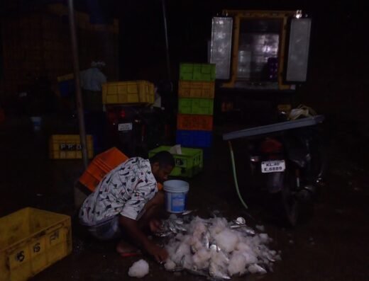D N S fish market