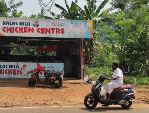 Halal nila chicken center
