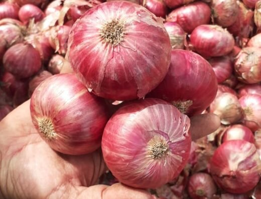J K Vegetables Thodupuzha Onion & Potato Wholesaler