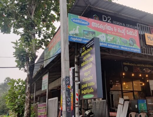 Kandirikkal Aquarium Point and Pet Shop