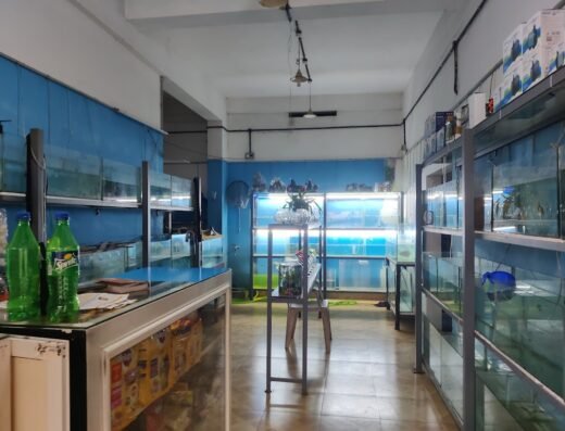 Kandirikkal Aquarium Point and Pet Shop