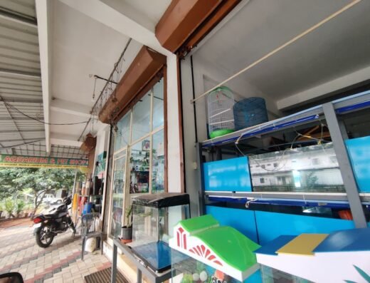 Kandirikkal Aquarium Point and Pet Shop