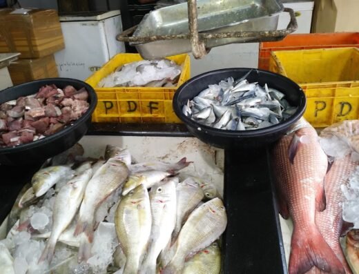Samudra Mini Super Fish Market