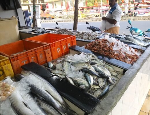 Samudra Mini Super Fish Market