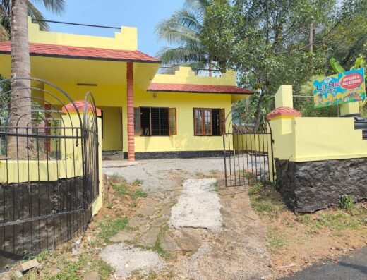 Little Stepz Daycare and Preschool