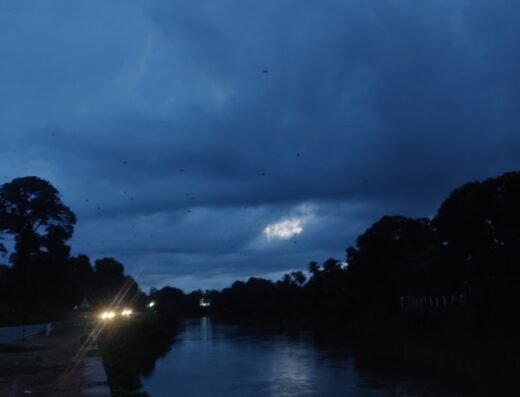 River View Anganawadi-141
